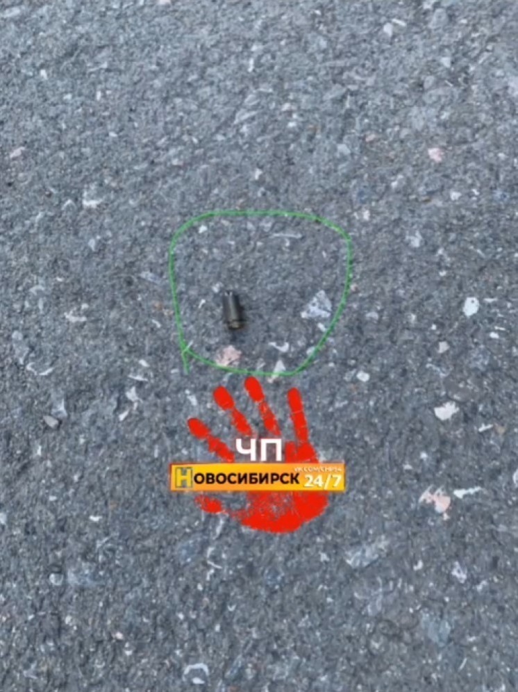 Школьники рассказали подробности стрельбы возле лицея в Новосибирске