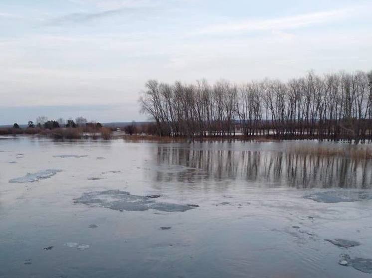 Уровень воды в реке Ишим на гидропосту в районе села Ильинка Казанского района превысил исторический максимум