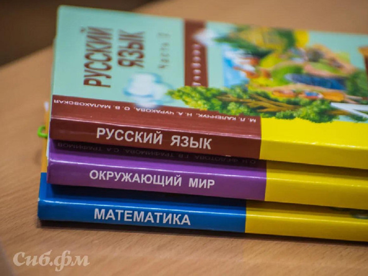 В Новосибирске намерены расторгнуть концессии на строительство школ