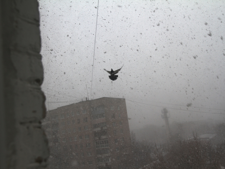 По сообщениям городских служб в Москве 18 и 19 апреля разгуляется стихия