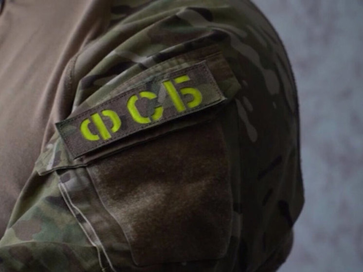 ФСБ задержала петербуржца по подозрению в активации сим-карт в интересах Украины