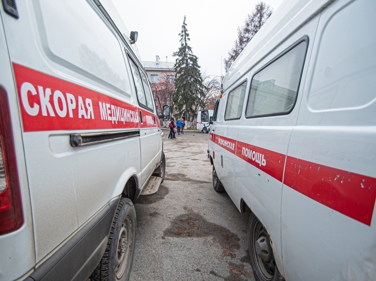 От клещей за неделю пострадало более 20 жителей Новосибирской области