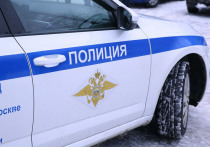 Мертвый мужчина без половых органов найден в садовом товариществе в Волоколамском городском округе Московской области