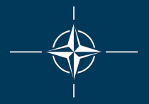 Министр обороны Аргентины Луис Петри сообщил, что страна направила в НАТО запрос на статус глобального партнера Альянса