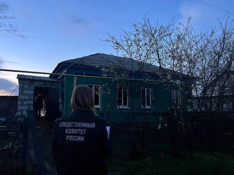 В Балашовском районе на пожаре погиб мужчина