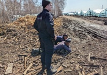 В Красноярском крае двое мигрантов лишились российских паспортов
