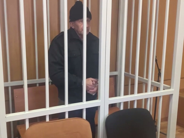 Каширскому рецидивисту дали 12 лет за убийство дачницы из Москвы