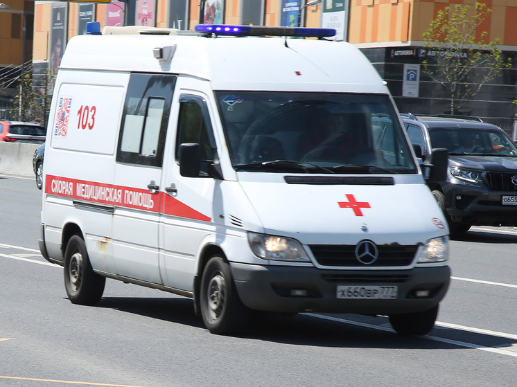 Шесть учеников пострадали от инфекции в школе в центре Москвы