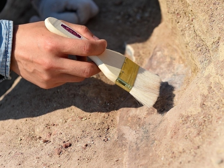 Челюстную кость древнего предка человека обнаружили «замурованной» в полу