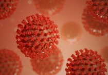 По мнению ведущих ученых, грипп - это патоген, который, скорее всего, вызовет новую пандемию в ближайшем будущем, пишет The Observer