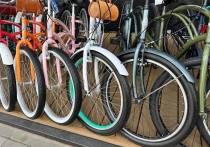 Жители Гатчины поучаствовали в велопробеге. Они открыли летний велосезон 21 апреля, сообщил 47channel.