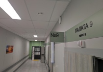 В Ломоносовской больнице установили новый рентгеновский аппарат. Медицинская техника отечественного производства меньше облучает пациентов, сообщили в пресс-службе комитета здравоохранения Ленобласти.