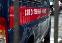 СК сообщил о возбуждении уголовного дела в отношении инспектора ДПС, который на патрульной машине насмерть сбил пешехода под Нижним Новгородом