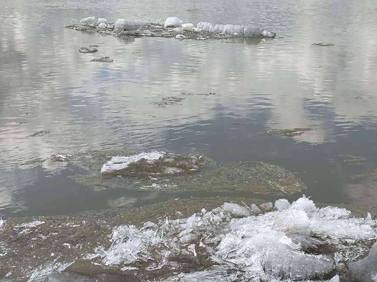 Река Шиш грозит затопить одно из сёл на севере Омской области