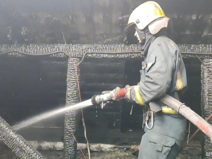 За неделю число пожаров в Новосибирской области увеличилось в три раза