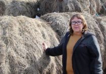 Ольга Пасынкова приобрела двух коров и доильный аппарат благодаря соцконтракту 