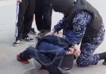 Недалеко от школы №81 в краевой столице сотрудниками Росгвардии задержан мужчина, ударивший ногой ребенка. Об этом рассказали подписчики тг-канала «Инцидент Барнаул».