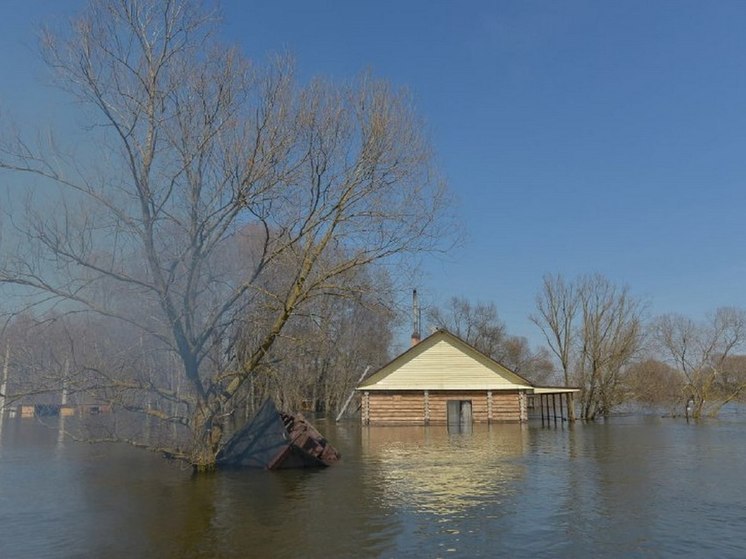 Жителей двух населенных пунктов под Воронежем предупредили о затоплении