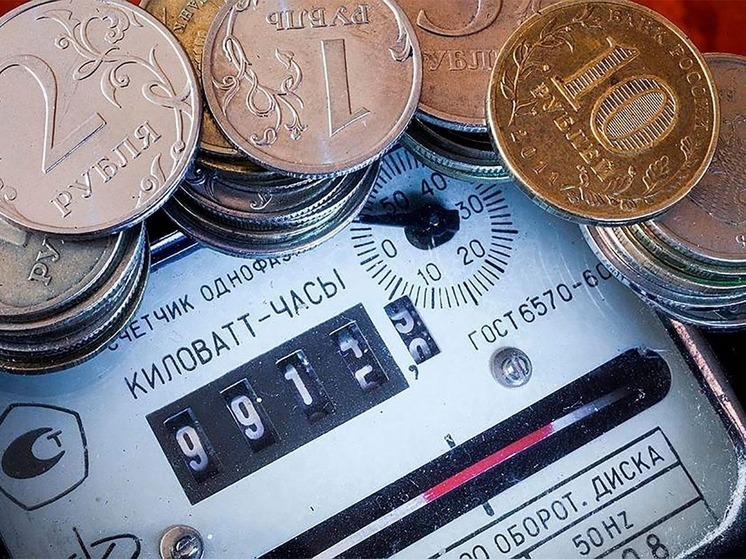 Суд обязал жителей и предприятия Калмыкии заплатить долги по электроэнергии