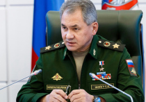 Министр обороны России Сергей Шойгу заявил, что российская армия находится в главенствующей позиции по всей линии боевого соприкосновения