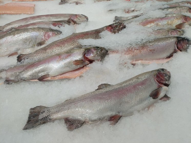 Рыбаки Северного бассейна нарастили промысловые показатели