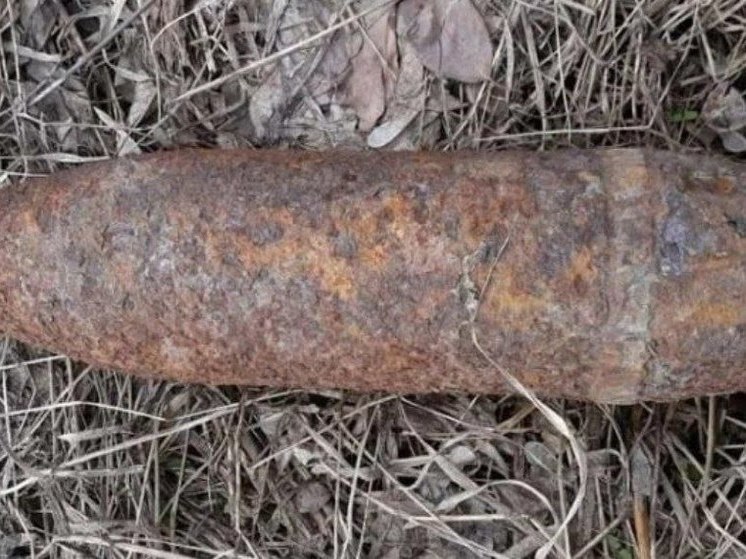 В Рудне найдены и обезврежены взрывоопасные предметы времён ВОВ