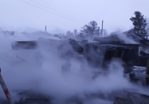 По информации регионального управления МЧС, вечером во вторник, 23 апреля, горел крытый двор в селе Каргасок