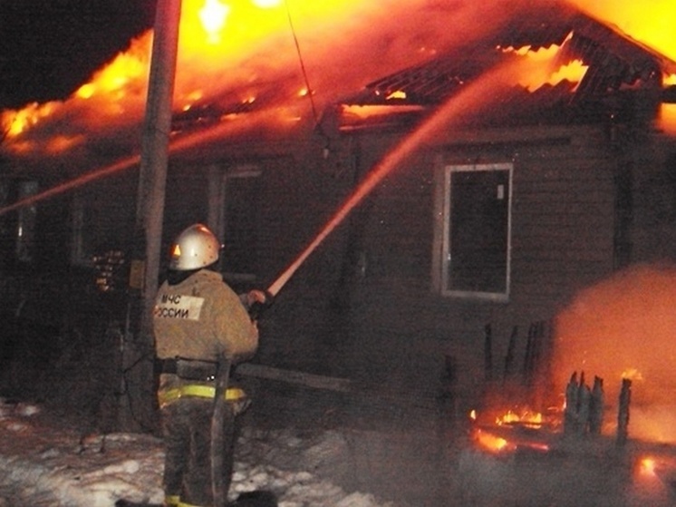 При падении БПЛА на воронежский дачный поселок загорелся дом