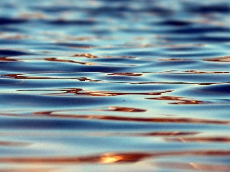 За сутки в Оренбургской области освободились от воды 549 домов
