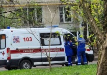 Трагедия разыгралась в одной из школ в Донецке Ростовской области