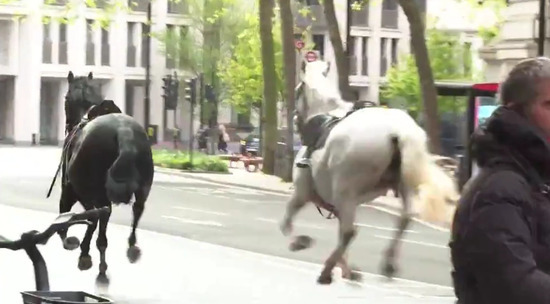 В Лондоне во время тренировки разбежались лошади королевской конной гвардии: видео