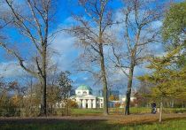В Санкт-Петербурге в парке Александрино в Кировском районе был избит 16-летний подросток, который отправился туда гулять с новой знакомой с сайта знакомств