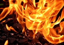 Пожар на территории Астраханского государственного заповедника был локализован на площади 2,1 тысячи гектаров, говорится в сообщении регионального управления МЧС России