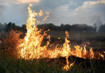 23 апреля на территории Алтайского края произошли первые в этом году лесные пожары. Очаги возгорания зафиксировали в Егорьевском и Ребрихинском районах. 
