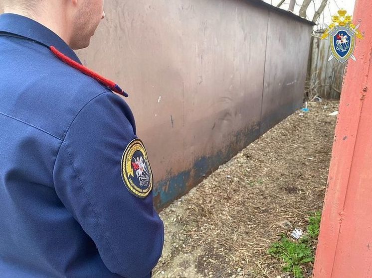 В Туле следователи нашли родителей младенца, выброшенного в контейнере в гаражах