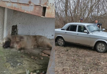 Губернатор Курской области Роман Старовойт сообщил, что суд вынес решение о штрафе для жителя Золотухинского района, который застрелил бродячую собаку