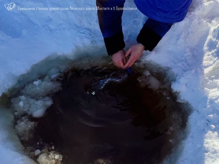 После сообщения о разливе нефти в тундре Ямала специалисты обследовали территорию