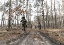 Соединенные Штаты не ожидают в краткосрочной перспективе масштабного наступления украинской армии
