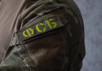 Сотрудники ФСБ задержали двух членов неонацистской группировки в Волгоградской области