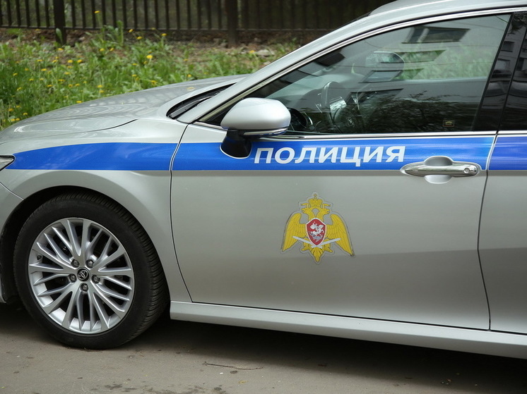 Полиция Ростова начала проверку из-за кадров, на которых блогер-самбист избивает людей