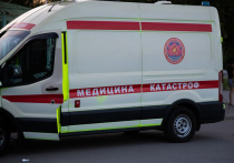 В Астрахани в больнице скончалась девочка, на которую упало огромное дерево