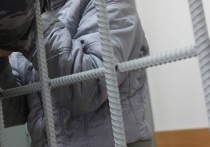 Верх-Исетский районный суд Екатеринбурга отказал о замене наказание в виде лишения свободы на более мягкий вид наказания Игорю Н.