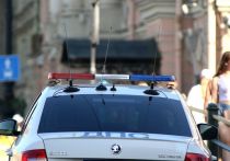 Нескольких баранов обнаружили сотрудники ДПС в автомобиле каршеринга в Санкт-Петербурге, когда остановили транспортное средство, на котором передвигались пятеро граждан Узбекистана