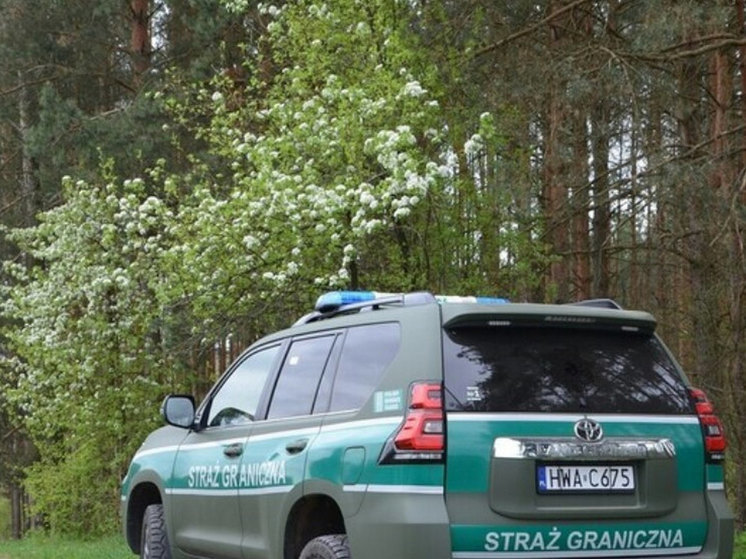 Штаб Пограничный службы Польши сообщает на своем сайте, что 1 мая польские патрули дважды подверглись нападению на польско-белорусской границе в ходе пресечения попыток незаконного проникновения мигрантов из третьих стран