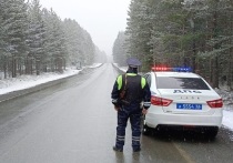 На территорию Свердловской области обрушился снегопад