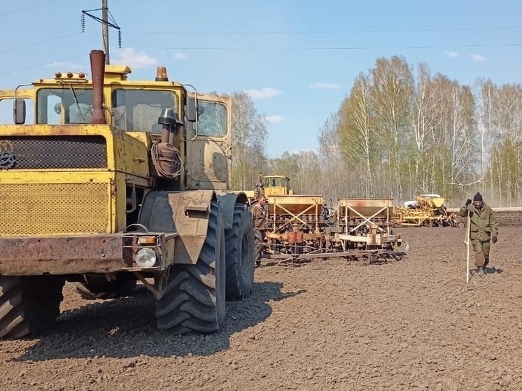 Протравка и подкормка: в районах Томской области начались полевые работы