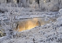 Телеграм-канал Shot сообщил, что в регионы России неожиданно вернулась зима