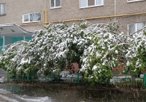 В субботу, 4 мая, в Свердловской области ожидаются очень сильные осадки в виде дождя и снега, а также порывы ветра до 15 метров в секунду