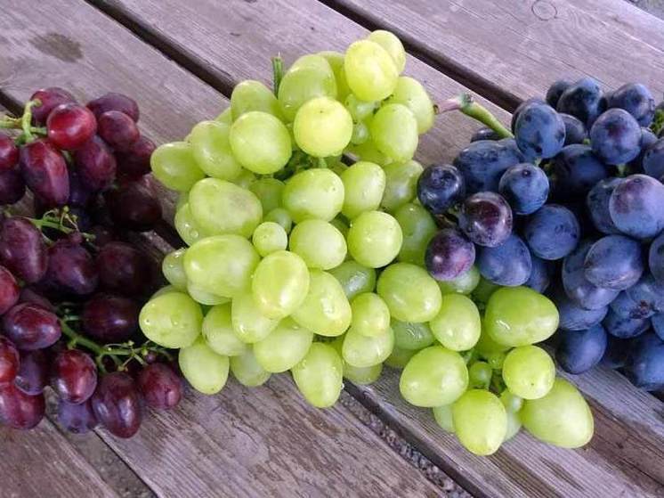 Гастроэнтеролог Утюмова назвала виноград самой вредной из употребляемых ягод. 