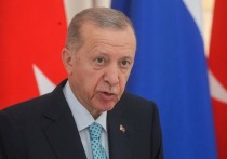 Президент Турции Реджеп Тайип Эрдоган в интервью греческой газете «Катимерини» назвал причину отмены визита в США и встречи с Байденом